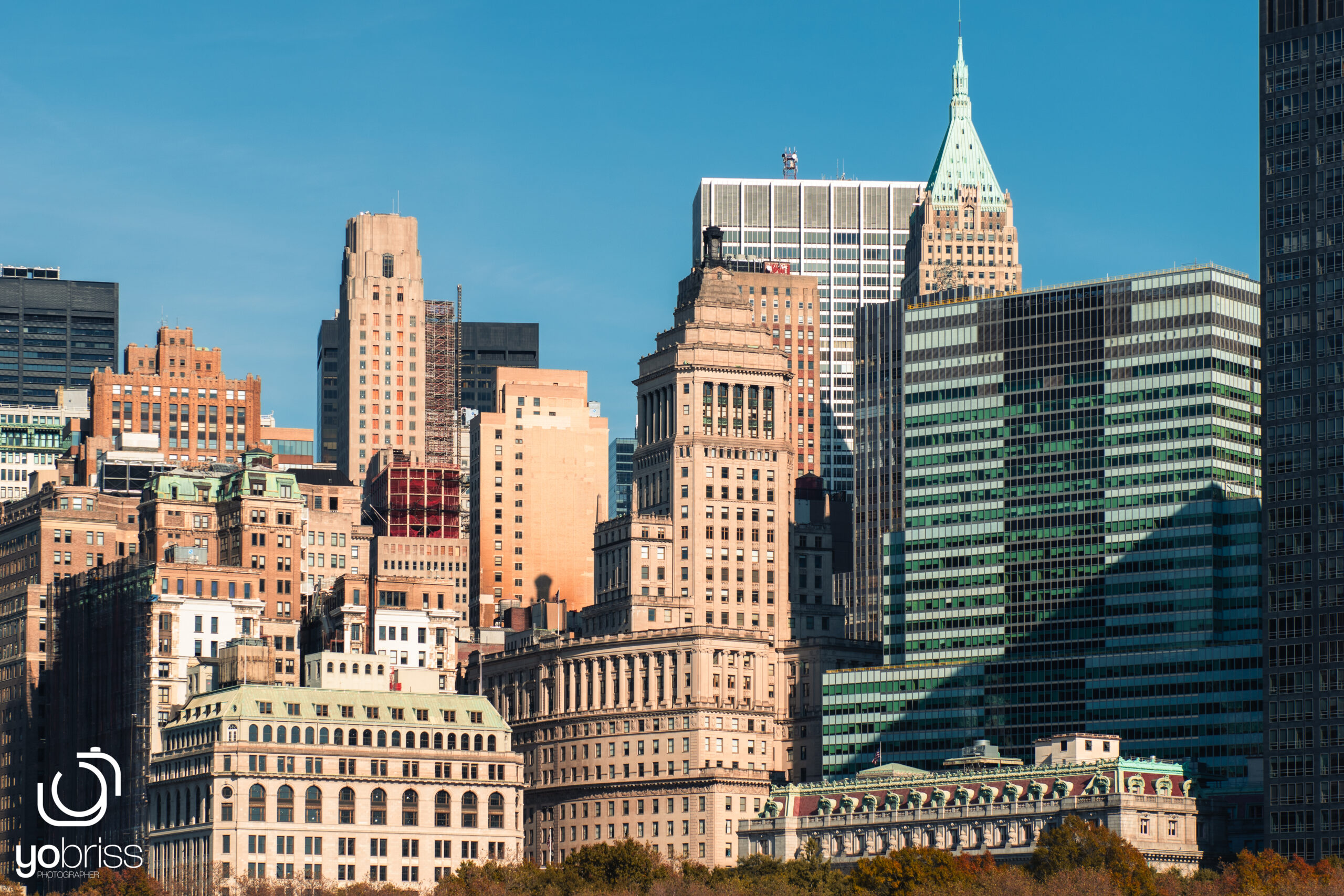 NY