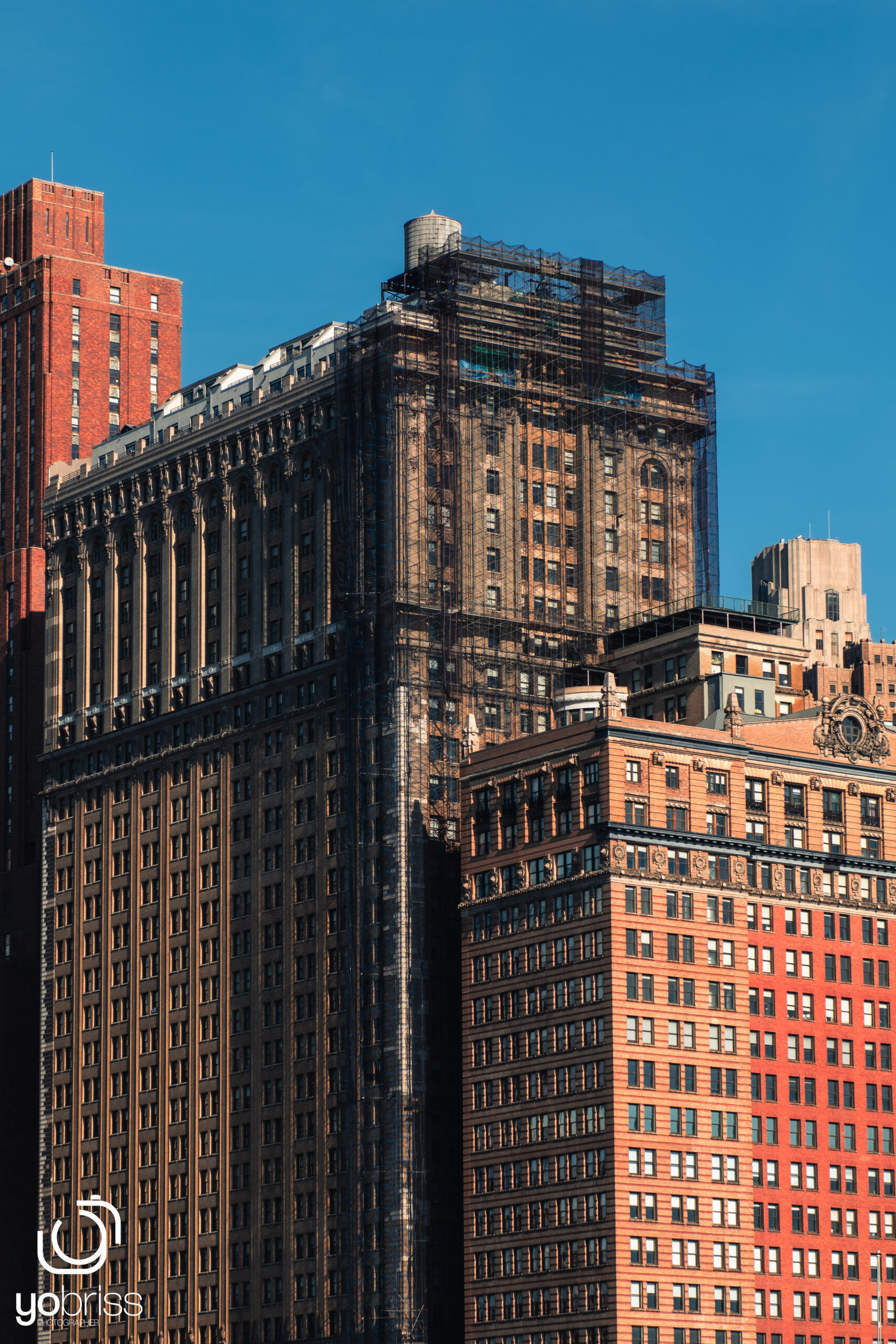 NY